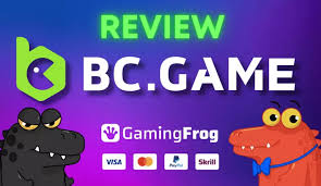 Understanding the Excitement of Crash BCGame
